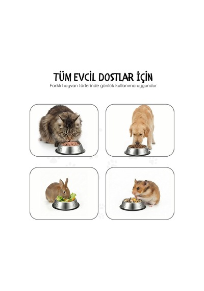 Paslanmaz Çelik Kedi Köpek Mama Ve Su Kabı 22 Cm - Kaydırmaz Kauçuk Tabanlı - Yaş Ve Kuru Mama İçin Uygun - Bulaşık Makinesinde Yıkanabilir - 500 Ml Kapasiteli