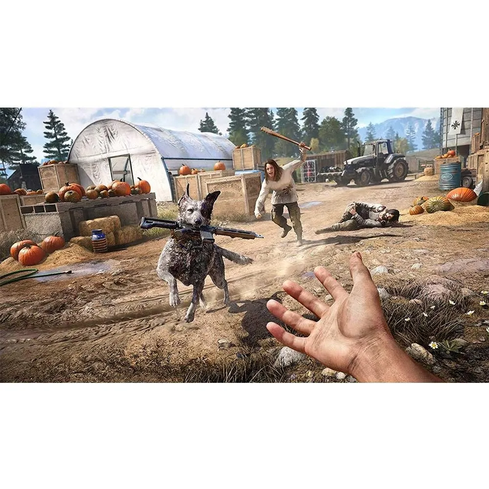 Far Cry 5 Playstation 4 Oyun Cd