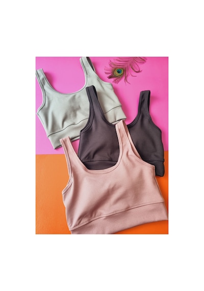 Demirsa Boutique Fitilli 3'lü Açık Mürdüm, Siyah Ve Çağla Yeşil Renk Çıkarılıp Takılabilir Pedli Kadın Büstiyer Siyah-çağla Yeşil-a.mürdüm Demirsa Boutique Fitilli 3'lü Açık Mürdüm, Siyah Ve Çağla Yeşil Renk Çıkarılıp Takılabilir Pedli Kadın Büstiyer Siyah-çağla Yeşil-a.mürdüm