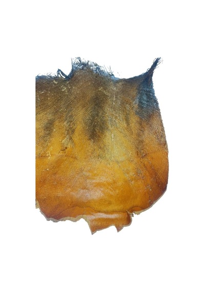 Kurutulmuş Palmiye Ağacı Kabuğu Lifi Natural Ağaç Gövdesi Kokos