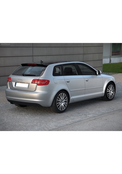 Audi A3 Sportback 2009-12 Arka Bagaj Kapağı Amortisörü 8P4827552B