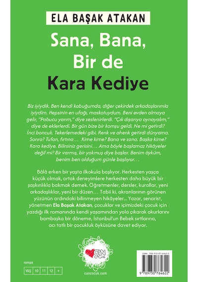 Sana, Bana, Bir de Kara Kediye