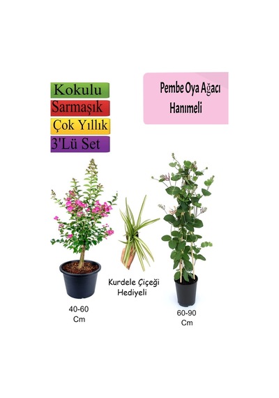 Pembe Oya Ağacı+ Hanımeli Çiçeği+ Kurdele Çiçeği Hediyeli