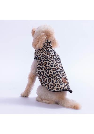 Mbeya Gold Leopar Desen Yelek Köpek Yeleği Köpek Kıyafeti Köpek Yağmurluk
