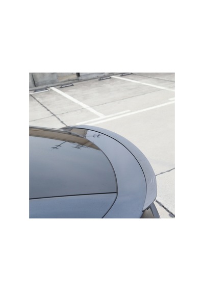 Red Lion Parts Tesla Model Y Juniper Pro Version Blow Mat Karbon Fiber Görünüm Spoiler