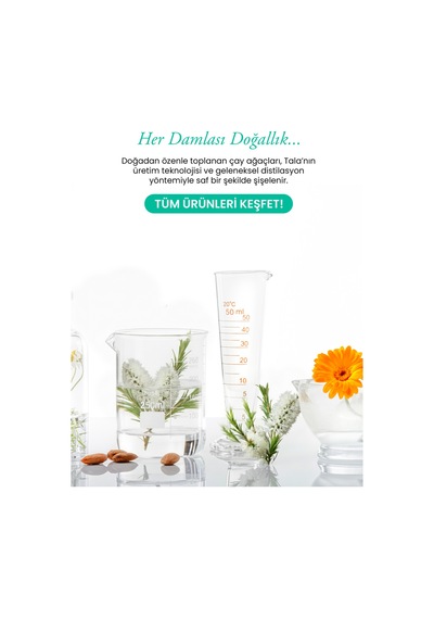 Tala Çay Ağacı Suyu Akne Karşıtı Ve Gözenek Sıkılaştırıcı Arındırıcı Tonik %100 Saf Ve Doğal 100 ML