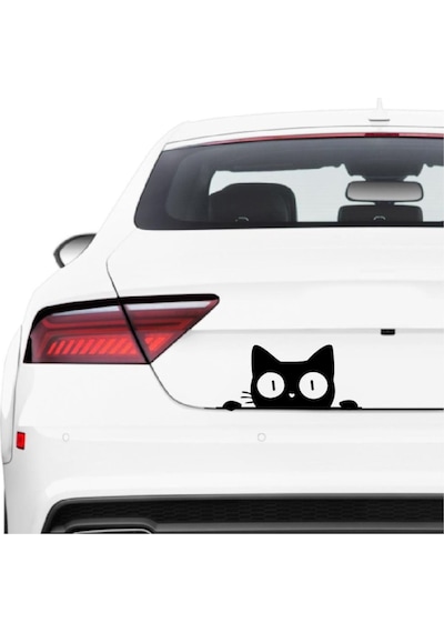Kedi Bagajdan Bakan Kedi Sticker Araba Oto Araba Sticker