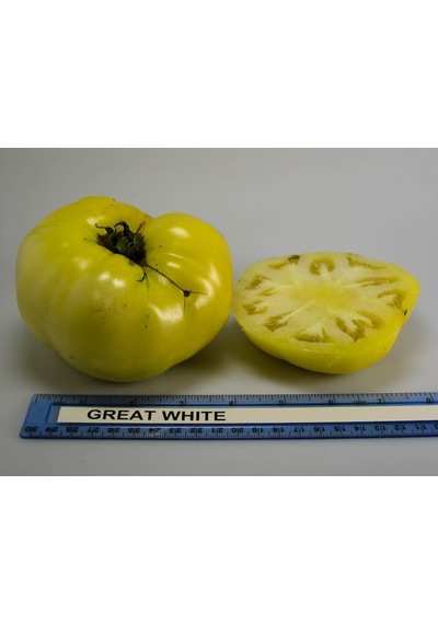 Doğal Gelenekel Great White Domates Tohumu 20 Tohum