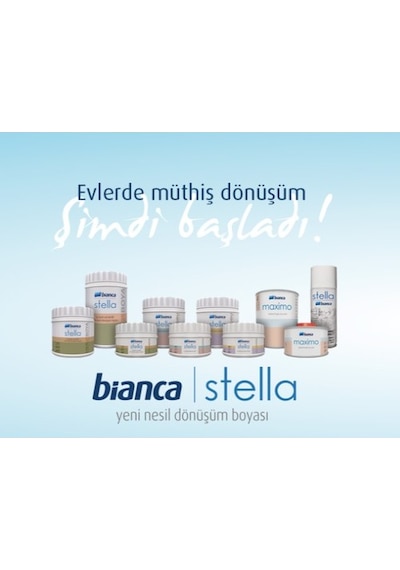 Bianca Stella Boya Seti Boya + Kadife Rulo + İpek Fırça + Boya Kabı
