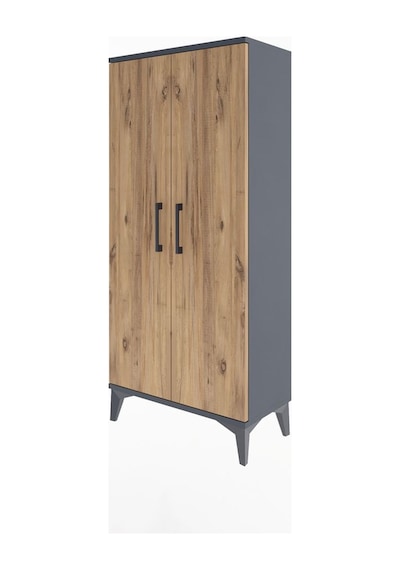 Arges Dolap 2 Raflı 2 Kapaklı 60x30x134 Antrasit-çam Antrasit
