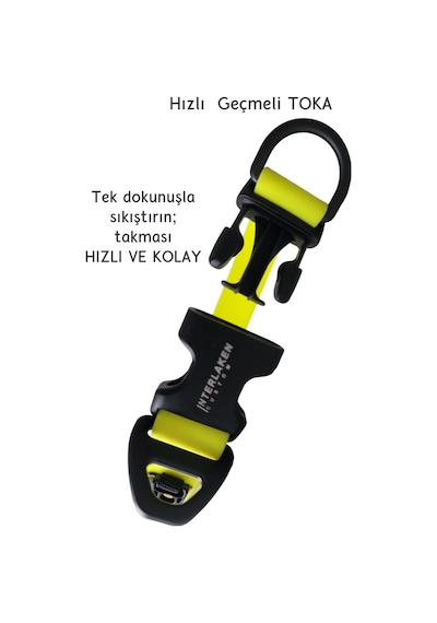 Interlaken Su Geçirmez Sağlam D Halkalı Sarı Köpek Boyun Tasması Sarı M Sarı