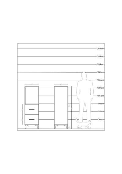 Kronos Dolap Tek Raflı 2 Çekmeceli 44x59x134 Çam-antrasit Çam