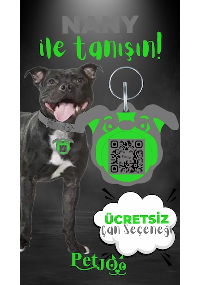 Petjoo 17.Nany Yeşil-Gri Qr'lı Köpek Künyesi