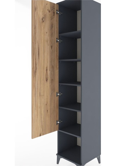 Hyperion Dolap 5 Raflı Tek Kapaklı 44x44x221 Antrasit-çam Antrasit