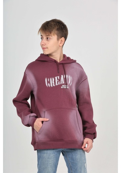 Toontoy Kids Toontoy Erkek Çocuk Pistole Baskılı Sweatshirt Mor