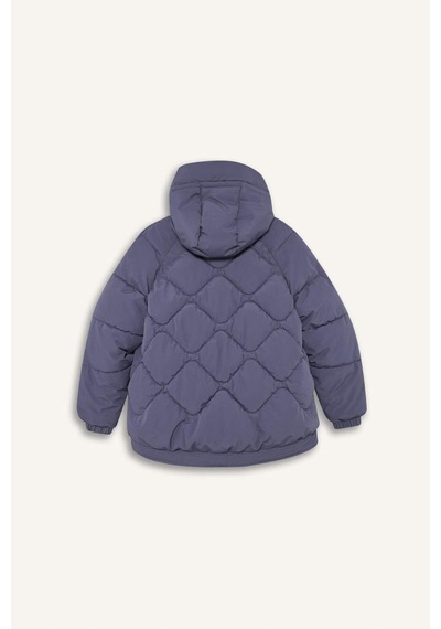 Defacto Defactofit Su İtici Oversize Fit Geniş Kalıp Kapüşonlu Fermuarlı Cepli Şişme Mont E9260ax25aupr492 Mor-pr492
