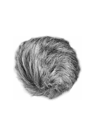 Zoom Mikrofon Universal Windscreen