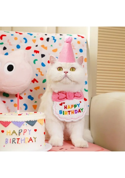 Kedi Ve Köpek İçin Şapka Ve Önlüklü Doğum Günü Kutlama Kostümü