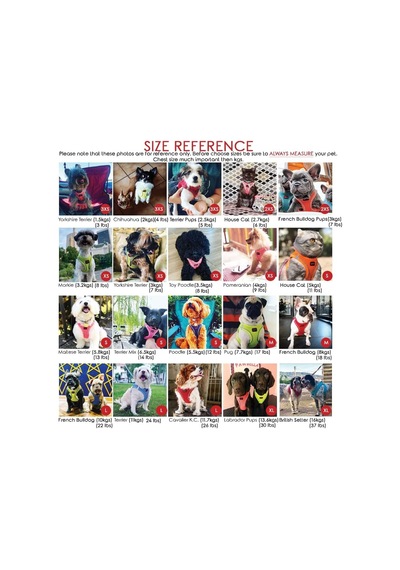 Air-mesh Köpek Göğüs Tasması Moon, 3xs