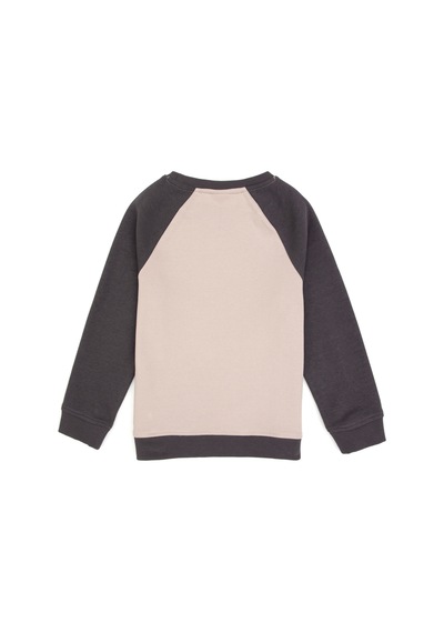 U.s. Polo Assn. Erkek Çocuk Gri Sweatshirt 50316542-vr024 Grı