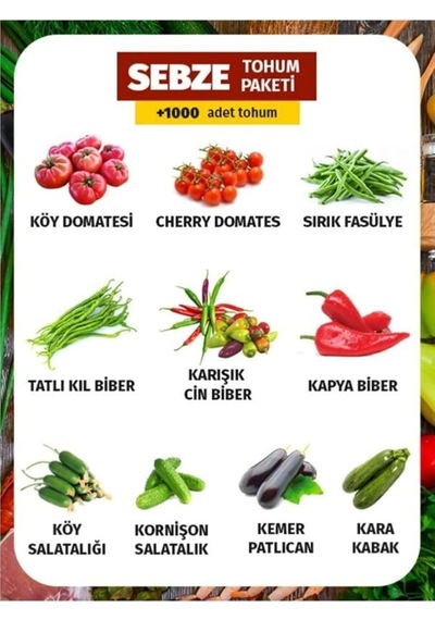 Tohum Dünyam 10 Çeşit Sebze Tohum Paketi 1000 Tohum