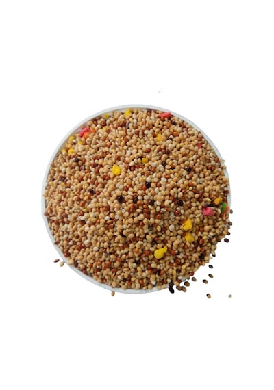 Karışık Meyveli Muhabbet Kuşu Yemi 5 KG