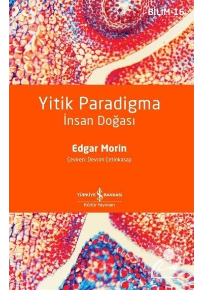 Yitik Paradigma / Edgar Morin