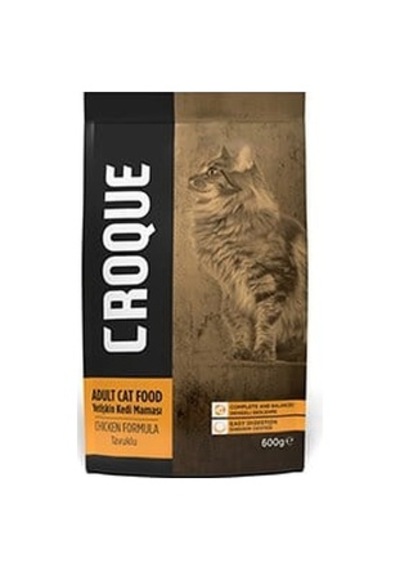 Northcity Yetişkin Kedi Maması Tavuklu 600gr 1 Adet