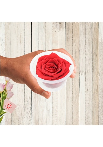 Şoklanmış Solmayan Gül. 5 CM - Kırmızı