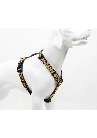 Leopard H-tipi Göğüs Tasması Ayarlanabilir, Konforlu Ve Dayanıklı Desenli Köpek Tasması L