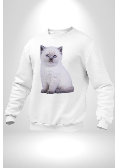 Beyaz Yavru Kedi Unisex Beyaz Sweatshirt Beyaz