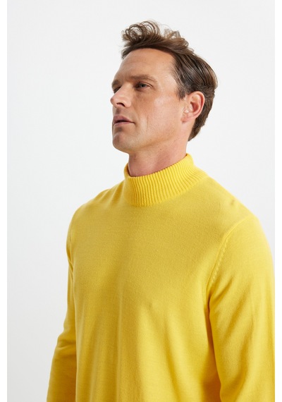 AC&Co / Altınyıldız Classics Erkek Sarı Standart Fit Normal Kesim Yarım Balıkçı Yaka Triko Sarı AC&Co / Altınyıldız Classics Erkek Sarı Standart Fit Normal Kesim Yarım Balıkçı Yaka Triko Sarı