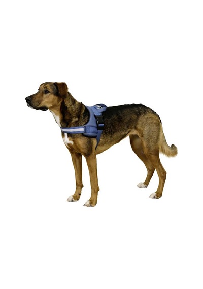 Belden Köpek Tasması Maestro 2.0 L 64-90 cm x 25 mm Mavi
