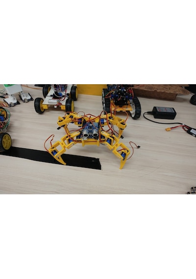 Örümcek Robot 12 Sg90 Siyah