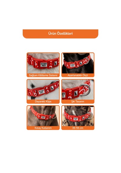 Köpekler İçin Dayanıklı Ve Güvenli, Desenli Boyun Tasması 25mm Kırmızı