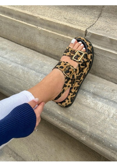 Erva'nın Butiği Leopar Jenny Gold Toka Detay Kadın Sandalet-5742