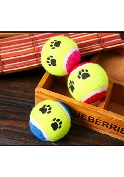 At Getir Köpek Eğitim Topu 5639