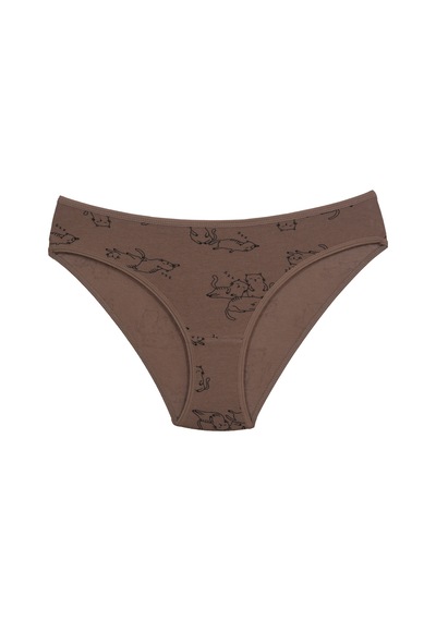 Asist Secret Magic Asm1106 Kadın 3 Lü Renkli Karışık Pamuklu Bikini Külot Renklı