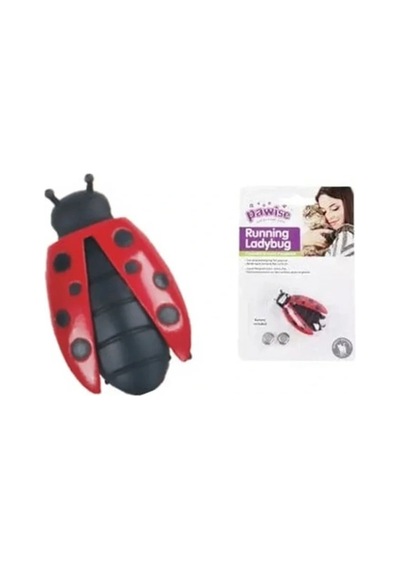 Uğur Böceği Hareketli Kedi Oyuncağı - Pg2738