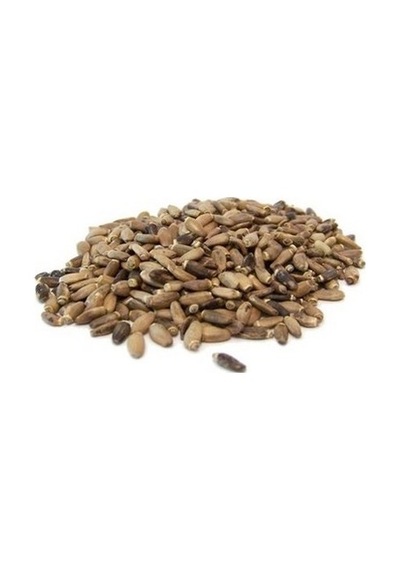 Deve Dikeni 250 Gr