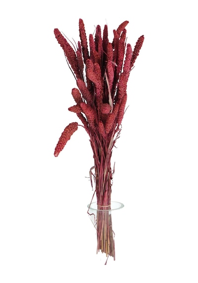 Yapay Çiçek Deposu Şoklanmış Setteria Boncuk Demeti 100 Gr Bordo
