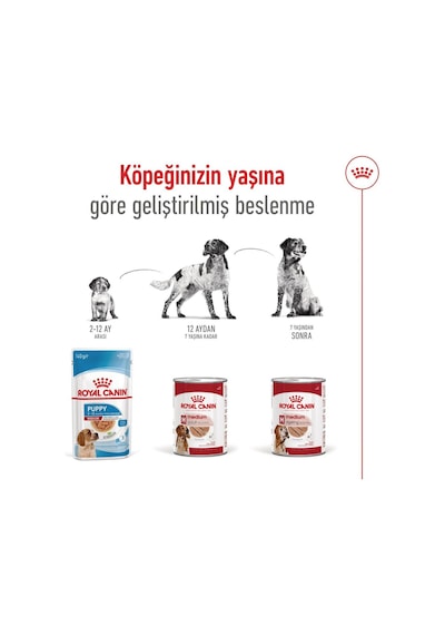 Medium Adult Konserve 3 + 1 Hediye 410 Gr