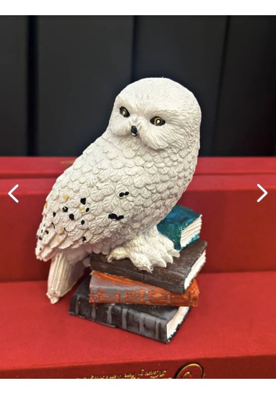 Harry Potter Baykuş Hedwig