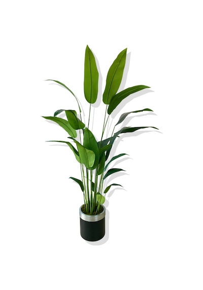 Cihan Çiçekçilik Starliçe 24 Yaprak 190 Cm Yapay Ağaç 30x30 Gümüş Kemerli Saksı Beyaz- Yeşil