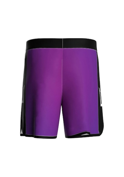 Pose I Down Rollyrace Npc Short Siyah - Açık Gri