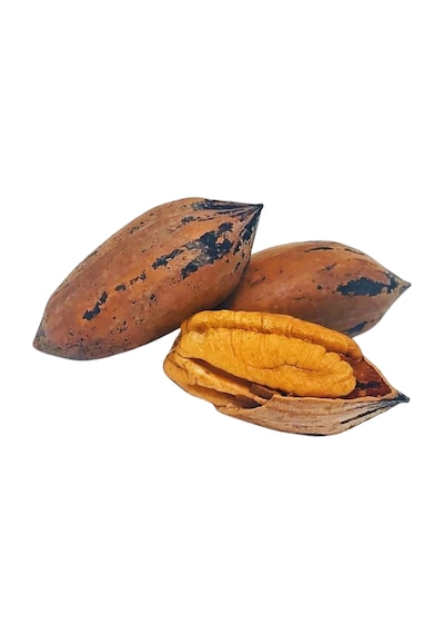 Kabuklu Pikan Pekan Cevizi Yeni Maksül 1 KG