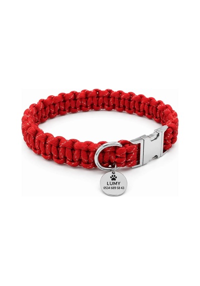 Paracord Köpek Tasması