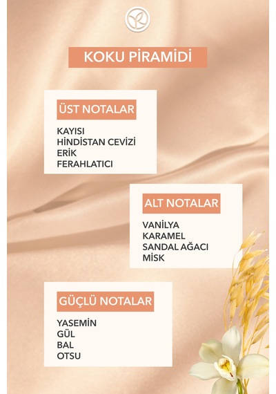 Yves Rocher Katı Deodorant - Ter Kokusu Önleyici-50 Gr-94316 50 Ml