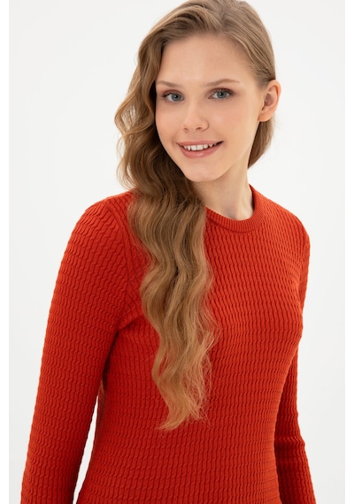 U.S. Polo Assn. Kadın Kiremit Bisiklet Yaka Basic Kazak 50307763-VR031