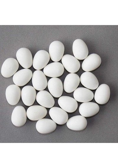 Güvercin Plastik Yumurta 10'lu Paket